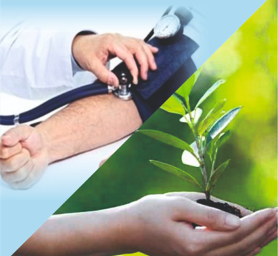 /index.php/about-us/bhavisyatila-samajika-kame/itara-samajika-kame